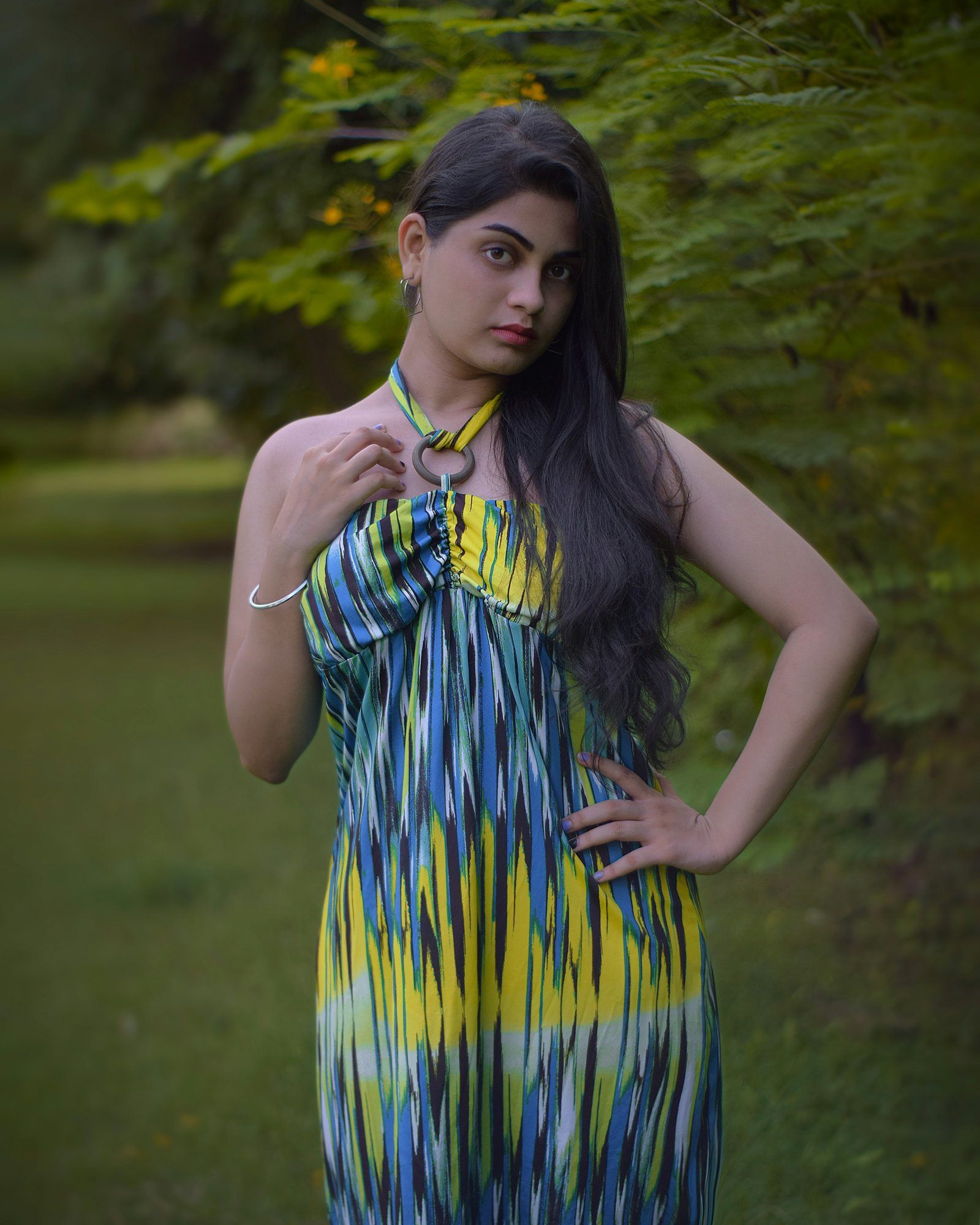 Aarti Sharma, Blogger 